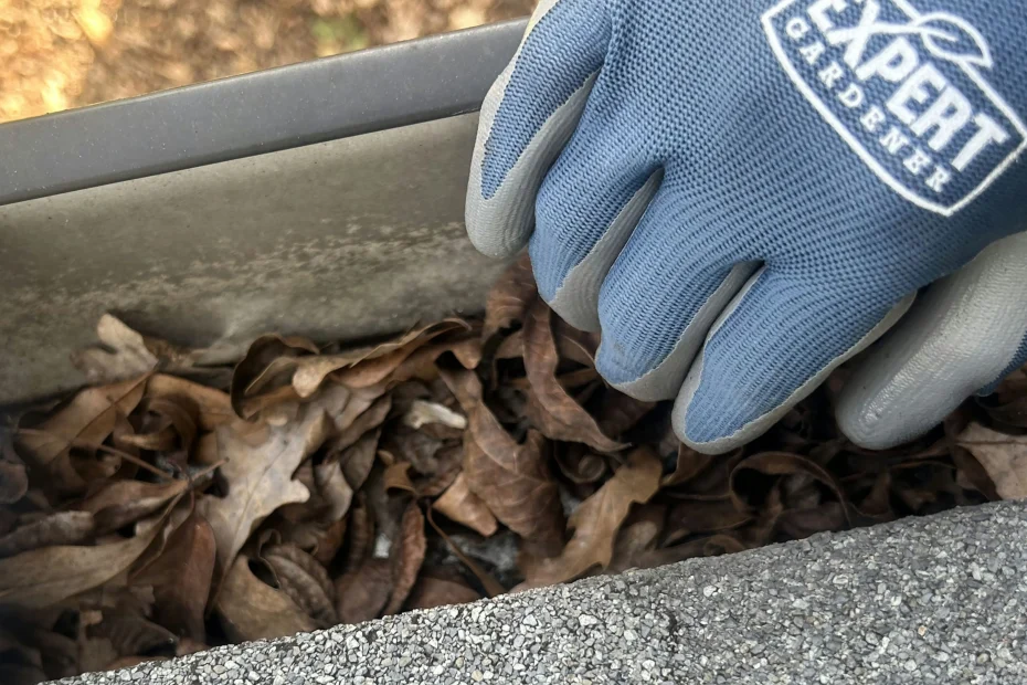 Gutter Cleaning Round Rock, TX