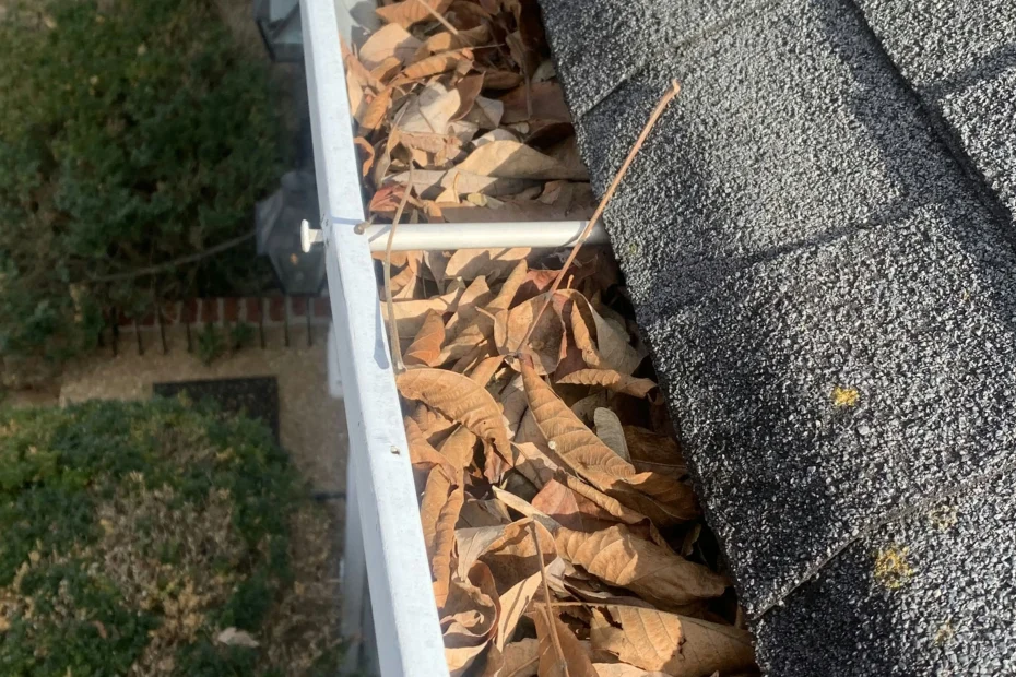 Gutter Cleaning Round Rock, TX