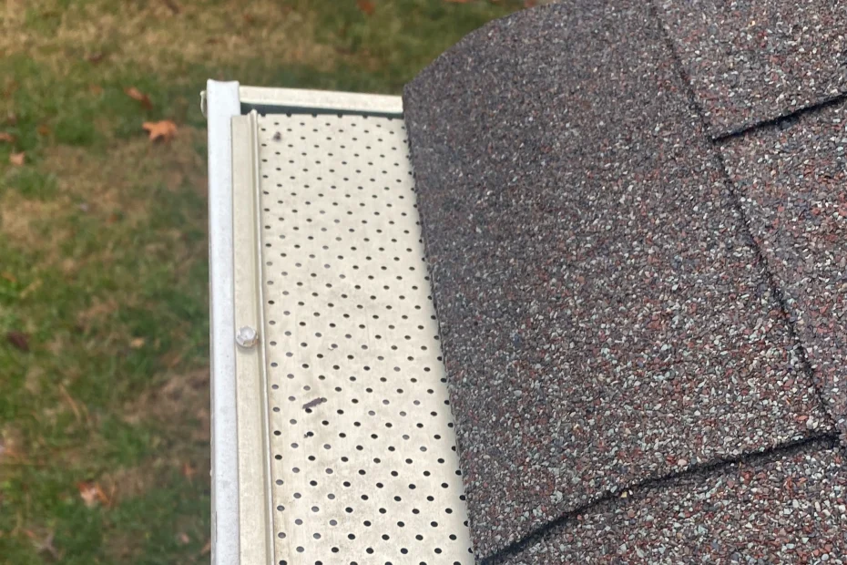 Gutter Cleaning Round Rock, TX